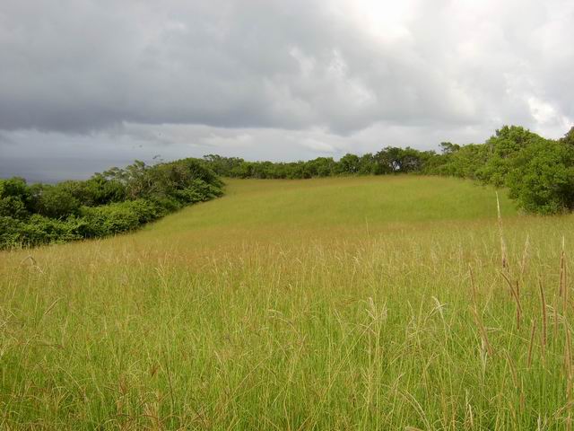 Les zones de pâturages de la Petite Crête qui abritent plusieurs fermes