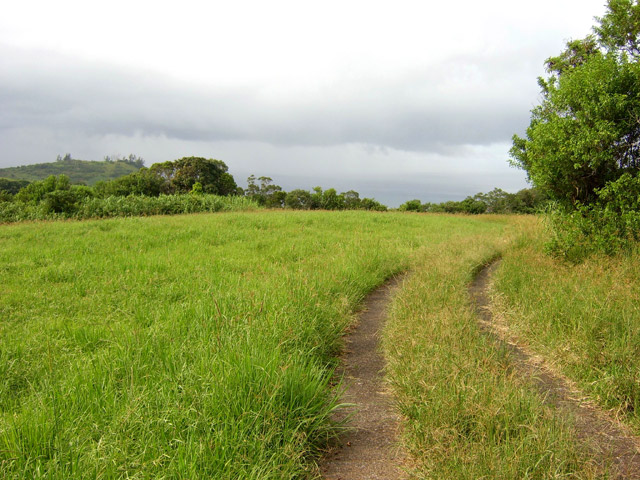 La belle route qui quitte la Crête pour rejoindre la piste de la Ravine Mère