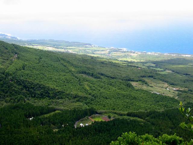 Le gîte de Basse Vallée, la forêt de camphriers et la côte