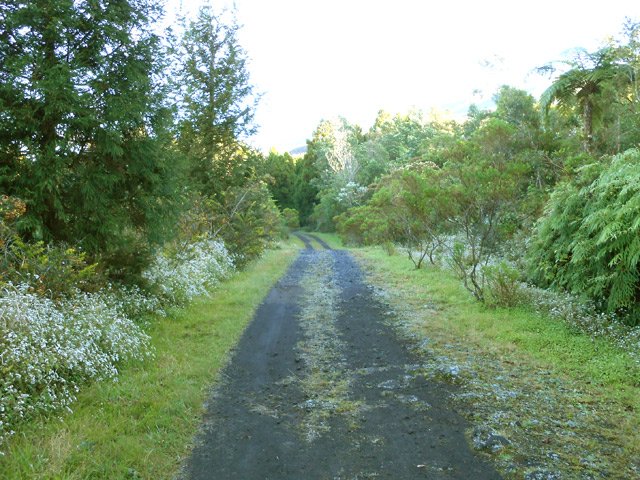 Très agréable piste qui traverse des forêts de bois de couleurs et prairies
