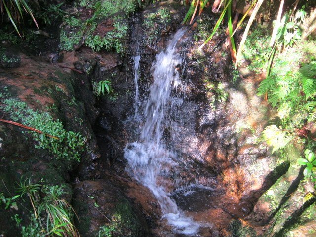 Traversée du Bras Patrick