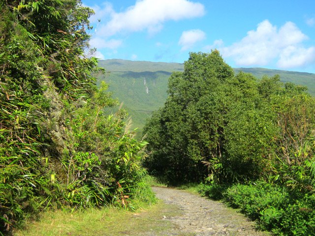Belle piste large au départ dans les bois de couleurs