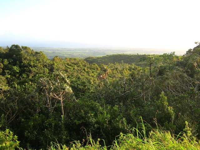 Panoramas sur Champ Borne et la Rivière du Mât