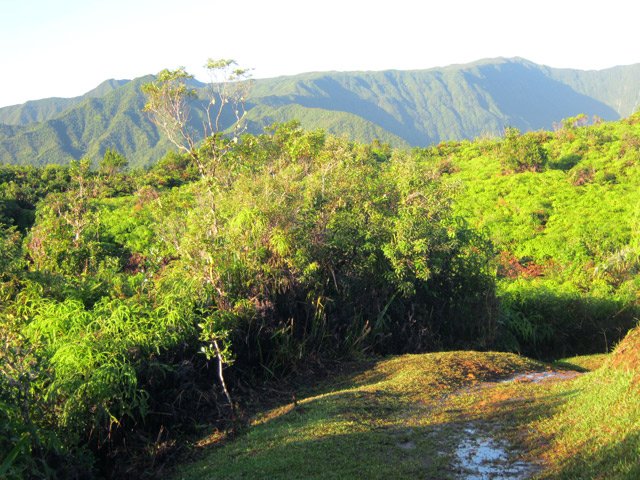 Le sentier, glissant par temps de pluie