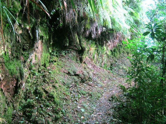 Un sentier encaissé mais peu humide