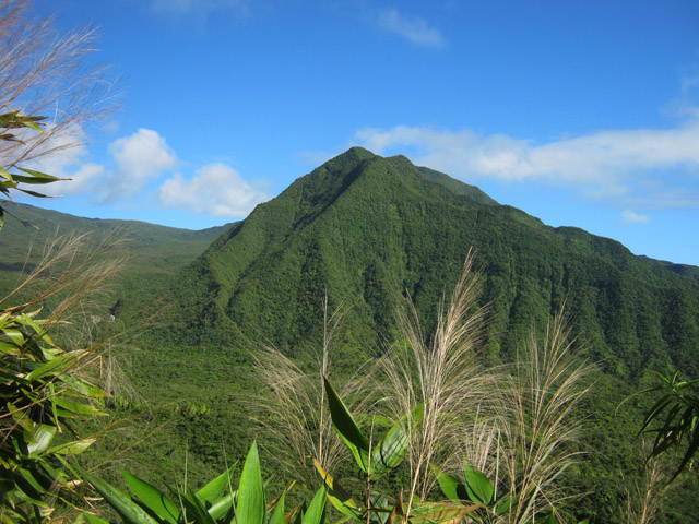 De très nombreux panoramas sur le Piton du Bras des Lianes durant la boucle