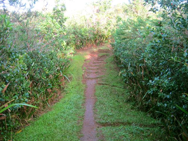 Le sentier, en première partie de la boucle
