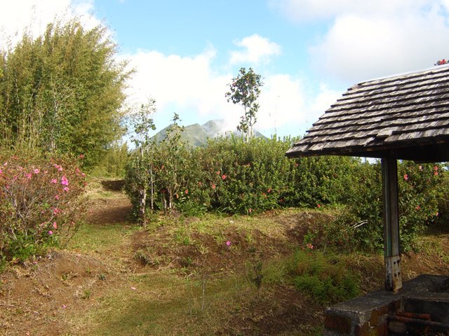 On peut même cuire sa viande qu'on a courageusement porté jusqu'ici