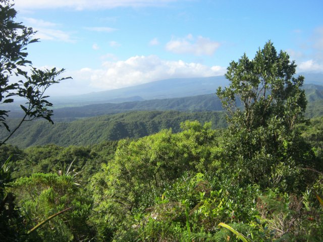 Par beau temps, on peut voir jusqu'à Sainte-Rose