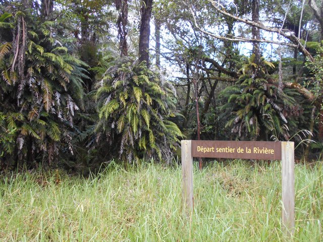 Le départ du sentier facile à trouver à gauche de la route