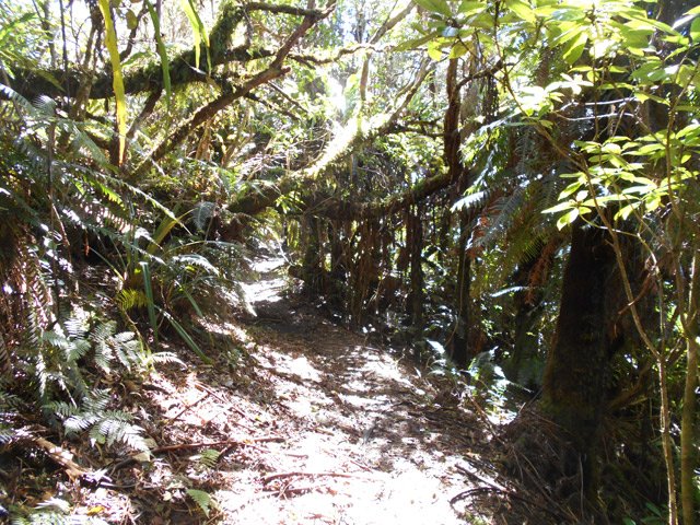 Portion plate et peu boueuse