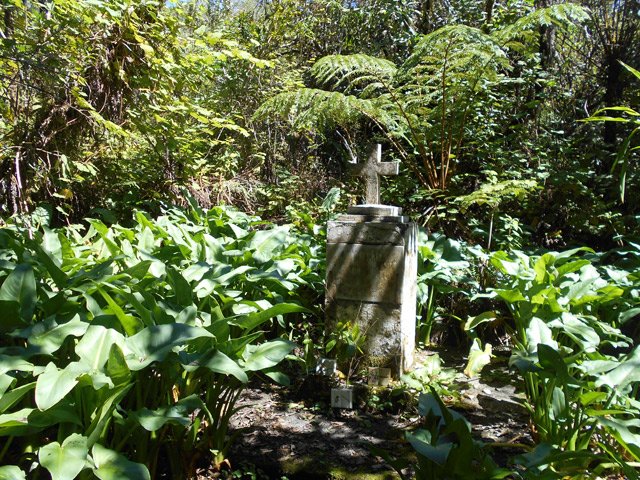 Arrivée à la stèle entourée d'arums
