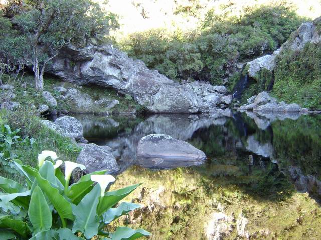 Un bassin de la Rivière des Marsouins en début de parcours, en amont du gué