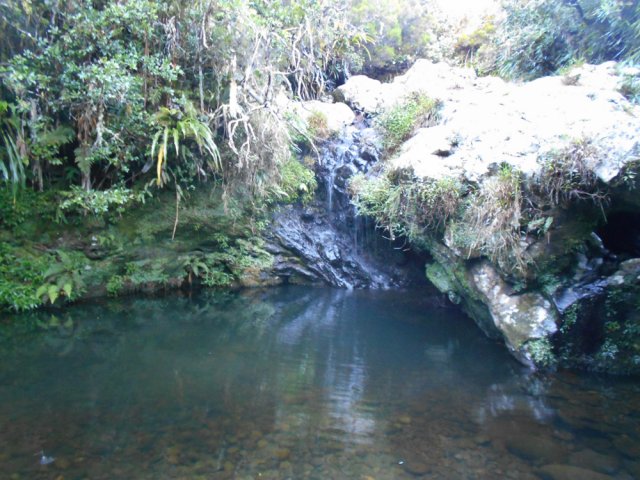 Un bassin, une petite cascade et une arche près de la passerelle