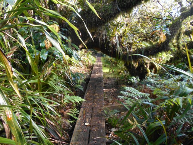 Les portions avec plancher sont hélas courtes et rares
