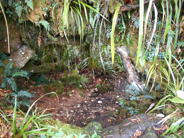 Le pont naturel, point de départ de la descente à la table d'orientation