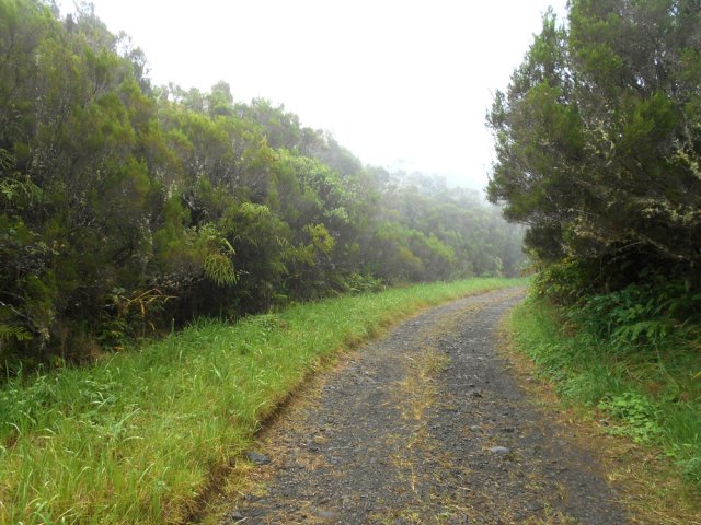 Quatre kilomètres de piste dans les branles verts