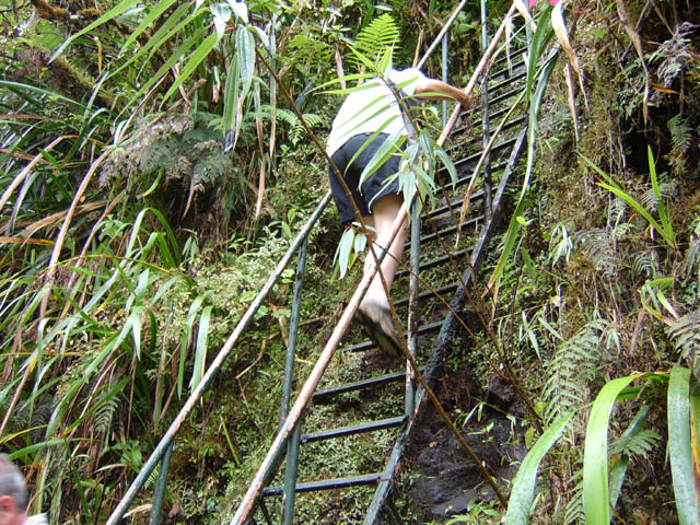 On remarque bien la mousse glissante sur l'échelle