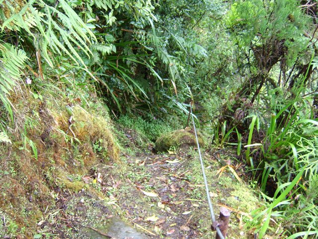 Le câble rassure sur sentier glissant