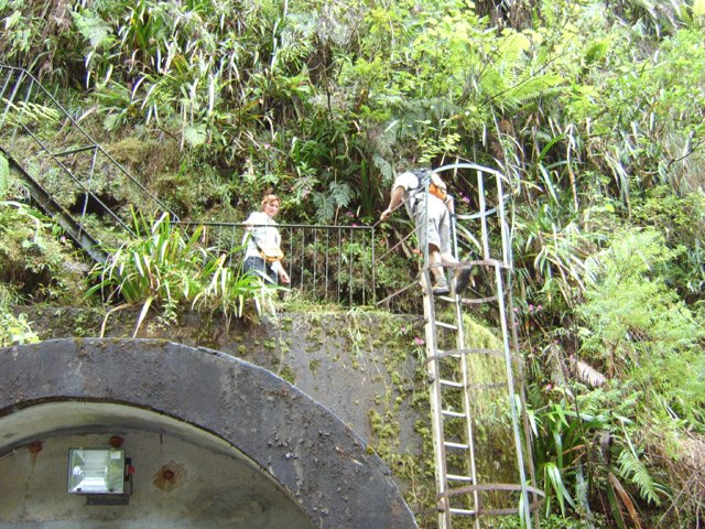Beaucoup de béton en pleine forêt vierge