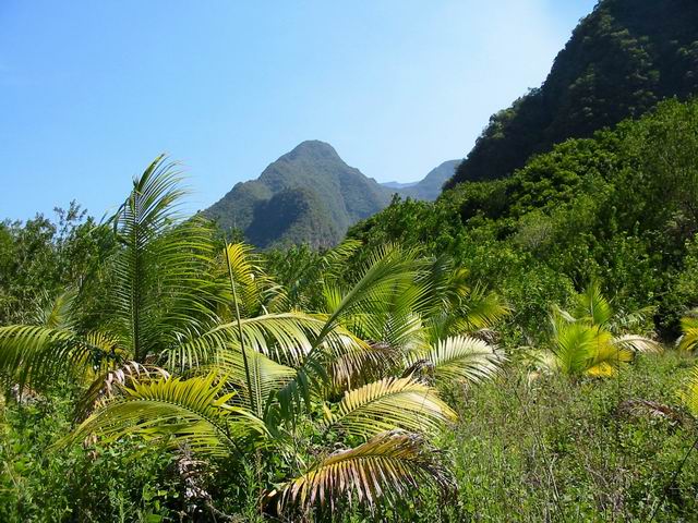 Le croisement de chemin et du sentier de l'Ilet Dimitile