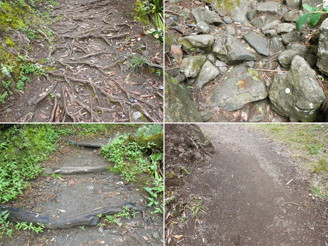 Quelques idées du Sentier vers la Cascade du Bras Rouge