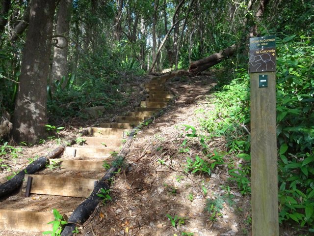 A 600 m, un long escalier de bonne qualité dans une pente sérieuse