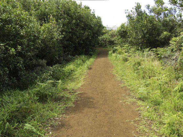 Quelques parties assez reposantes