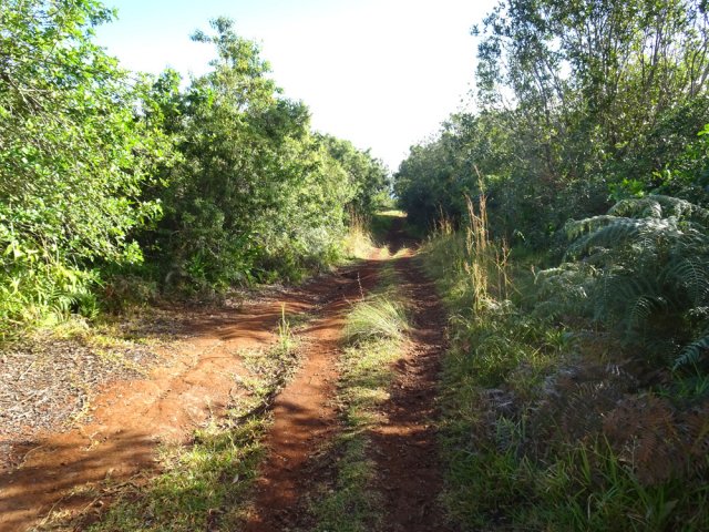 La fin emprunte de belles pistes assez larges