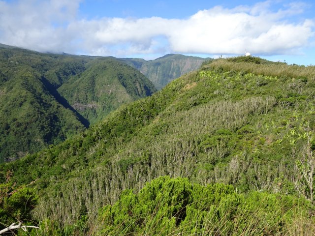 On a sous les yeux la totalité de la vallée de la Rivière Saint-Denis