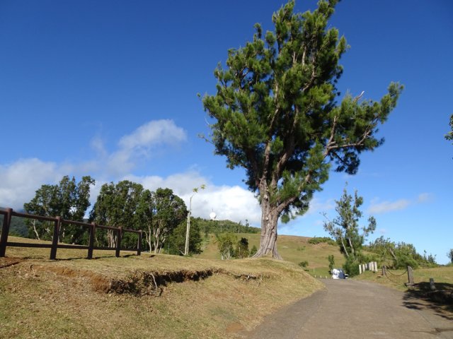 Arrivée sur la vaste prairie de repos