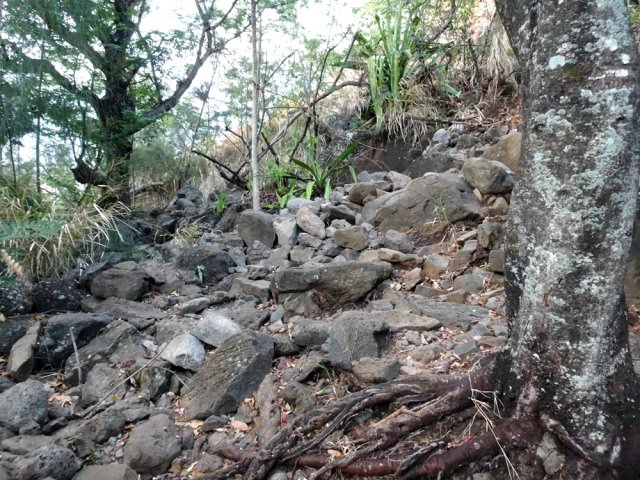 La montée débute par un pierrier mettant déjà à mal les chevilles