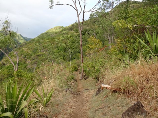 Une des rares portions plates en début de montée