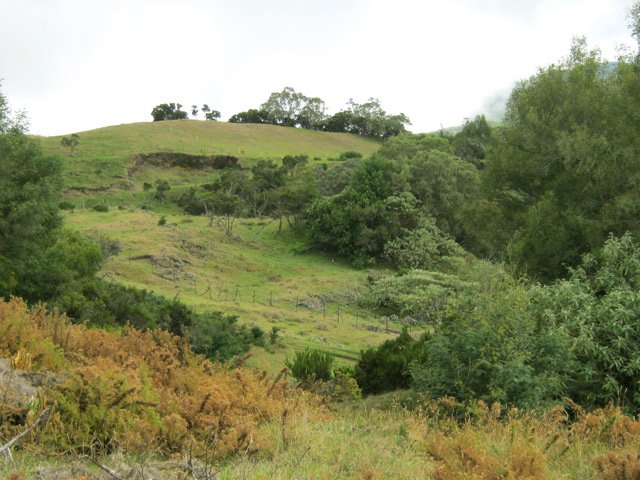 D'anciennes collines transformées en prairies