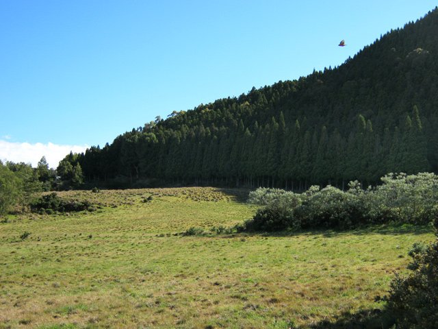 Les prairies sur la gauche de la piste