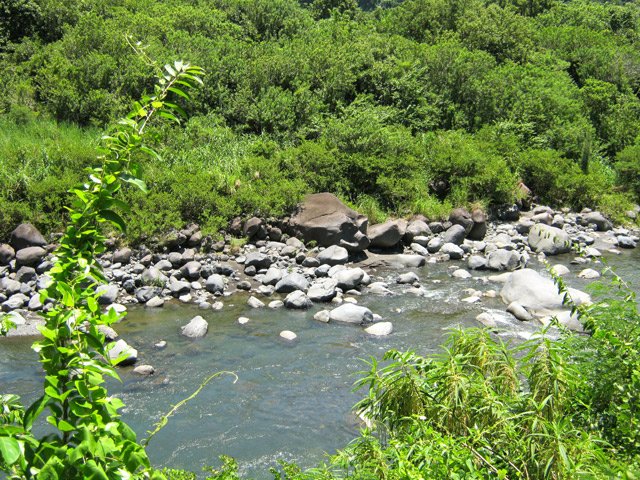 On se rapproche de la rivière