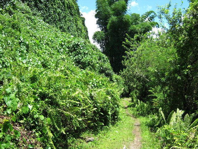 Sentier le plus souvent plat