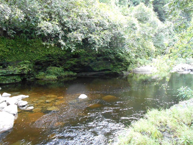 Un bassin proche d'un sentier qui part sur la droite