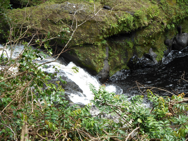 La petite cascade et son bassin en bas de la descente