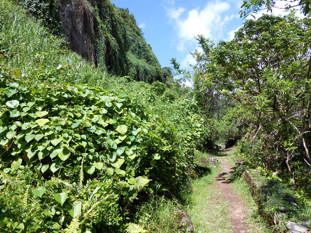 Une autre portion en arrivant près des falaises