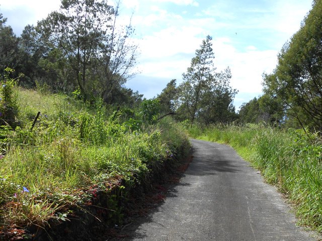 Route étroite mais sans circulation