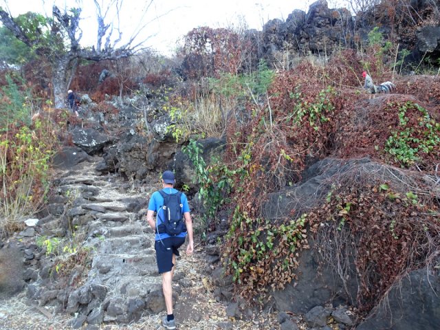 Début du sentier escarpé de Grand Étang au milieu des volailles