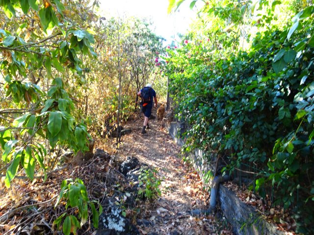 Agréable sentier dominant la Ravine de Grand Etang