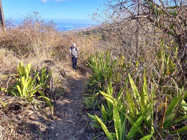 On ne quitte que rarement les chocas et les épineux