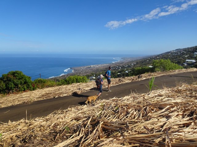 Multiples panoramas lorsque la canne est coupée