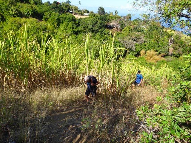 Ne pas manquer les nouveaux raccourcis évitant de longues portions de route