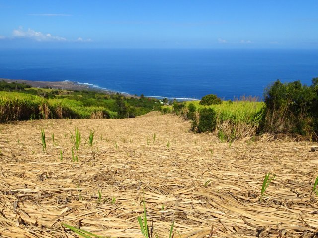 On se régale en permanence des points de vue sur l'océan