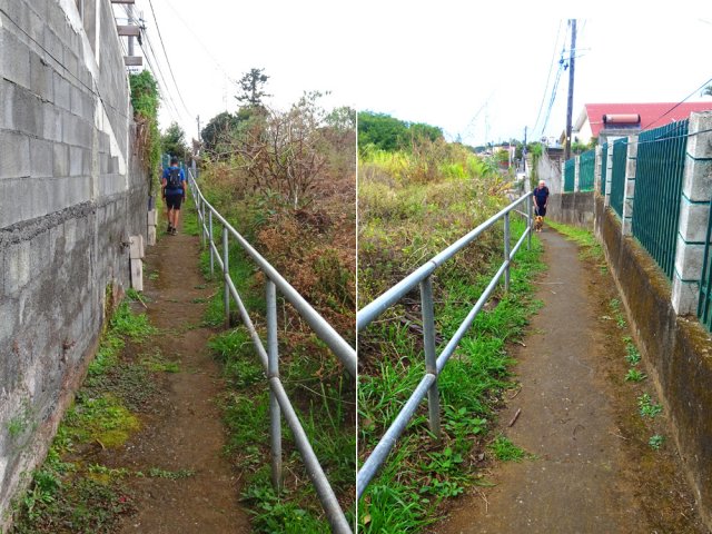 Encore des raccourcis sur le Chemin des Camélias
