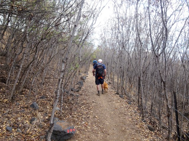 Long détournement créé après la construction de la route des Tamarins