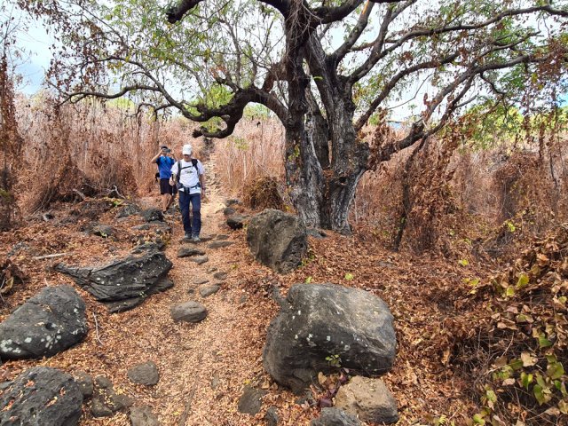 Le superbe mais caillouteux sentier Canal menant à la ville à travers les roches